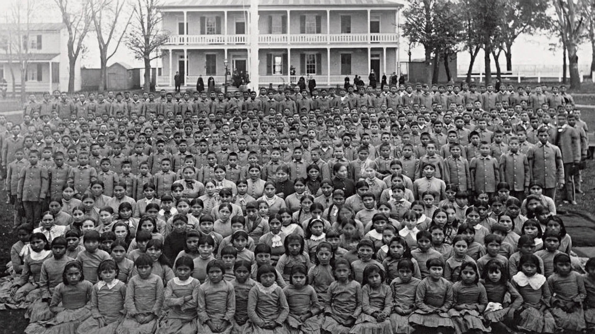 P2 Native hair
